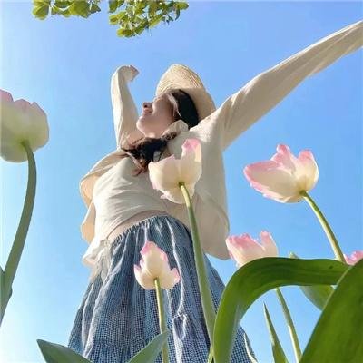 披荆斩棘第四季